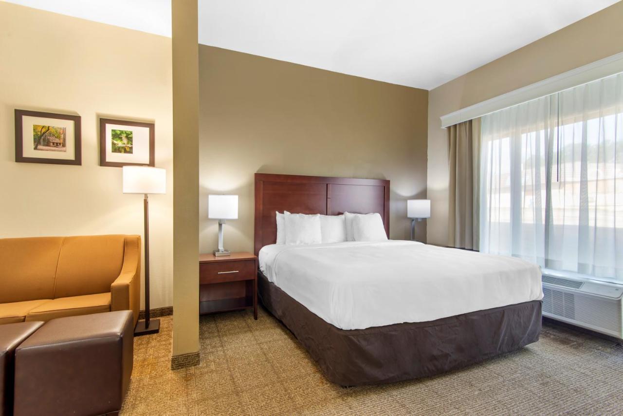 Comfort Suites Locust Grove Atlanta South Buitenkant foto
